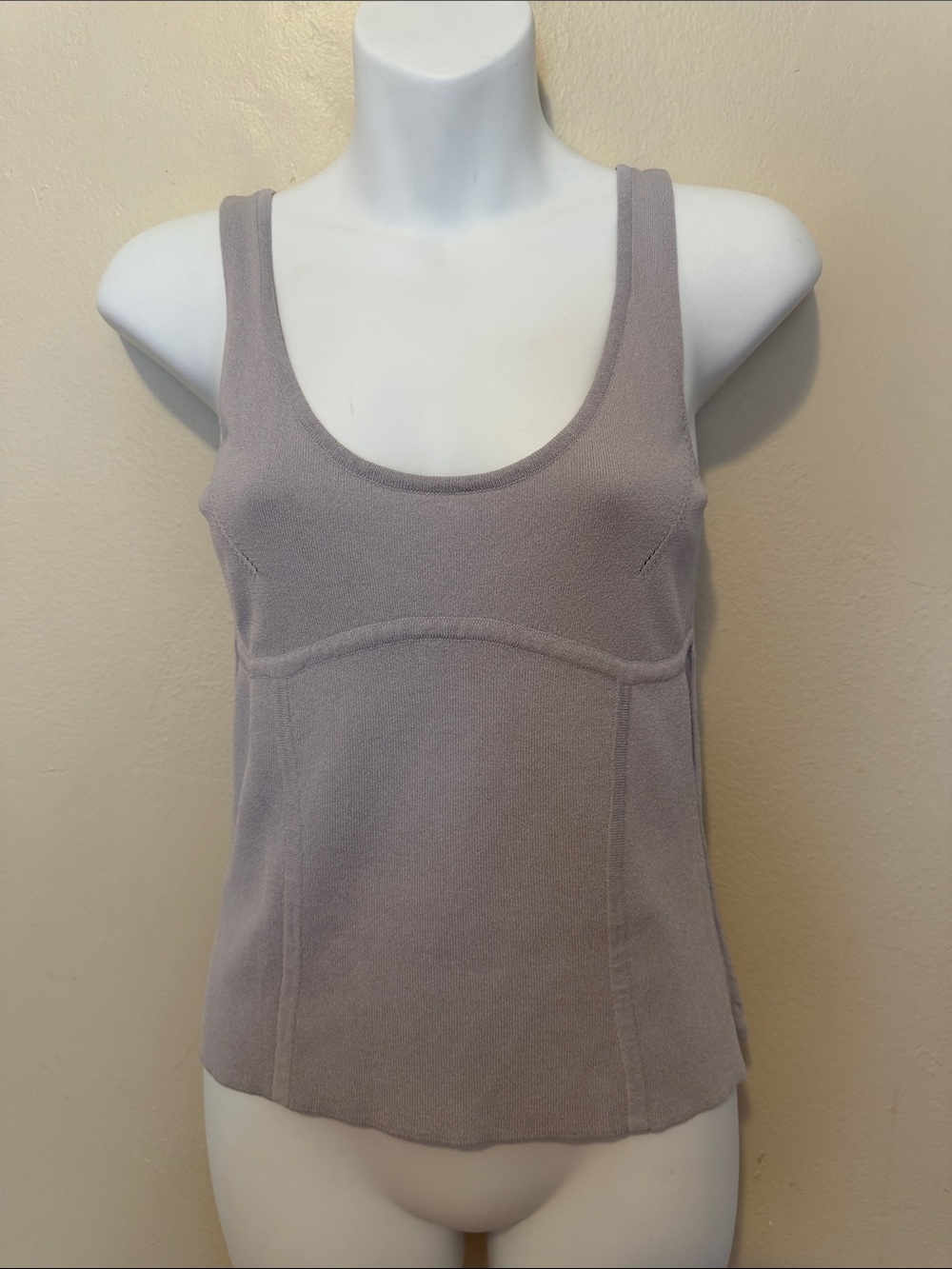Express Light Taupe Scoop Neck Tank Top